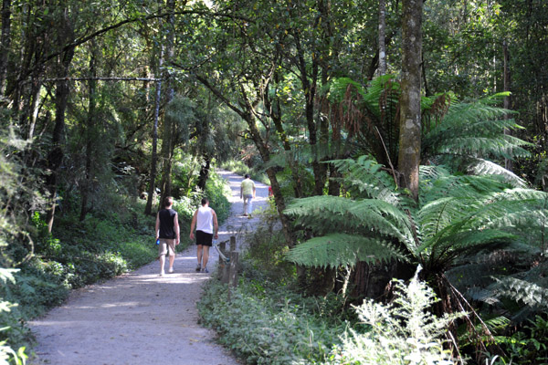 Kokoda Track Memorial Walk, Dandenong Ranges National Park