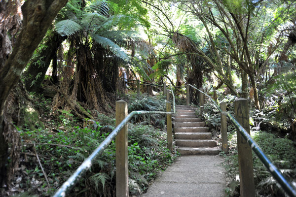 Kokoda Track Memorial Walk