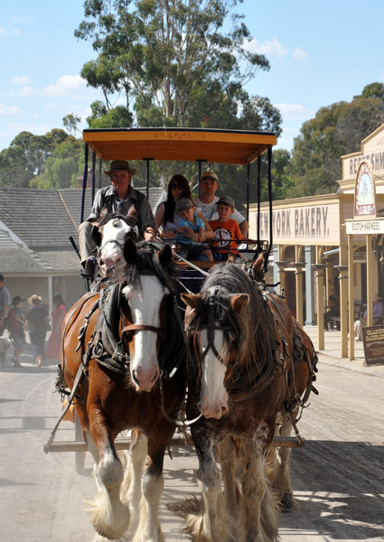 Horse-drawn Carriage, Sovereign Hill