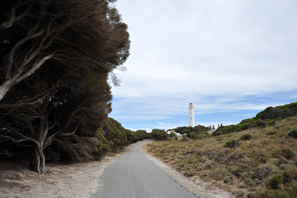 The road to Wadjemup Lighthouse - keep pedaling so the flies dont catch you