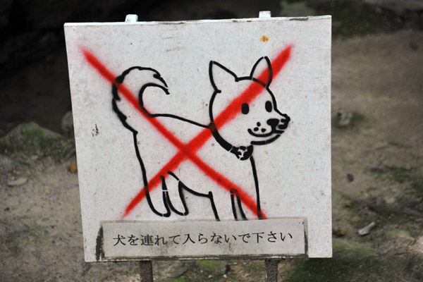 No Dogs!
