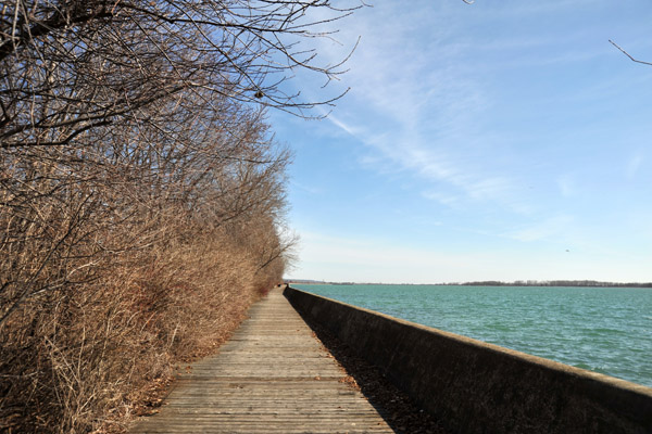 Lakeshore Avenue - Center Island