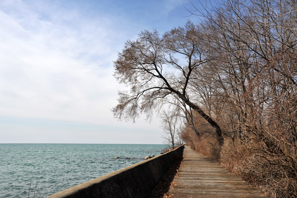 Lakeshore Avenue - Center Island