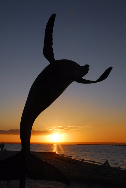 La Paz whale sculpture at sunset