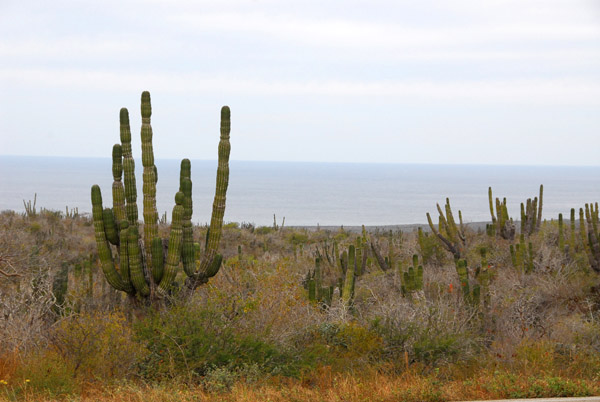 Driving up the Pacific Coast of Baja California Sur
