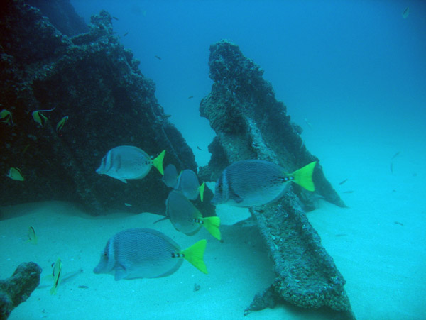 A small wreck at Land's End - Cabo San Lucas