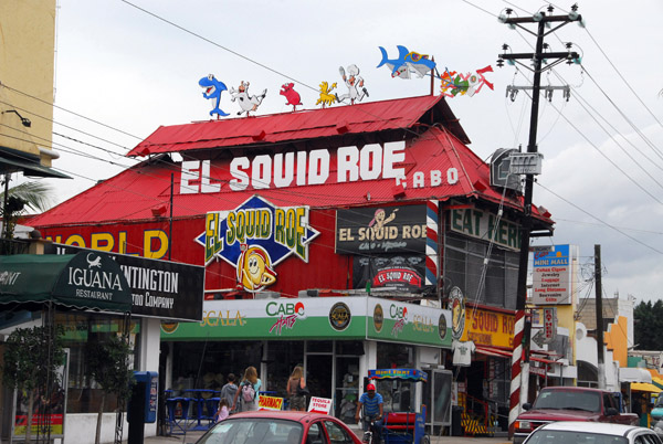 El Squid Roe, Cabo San Lucas