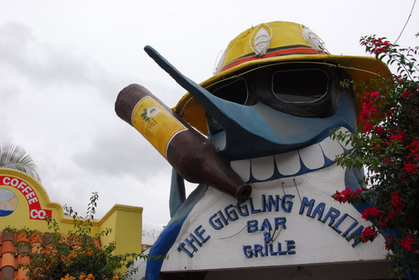 The Giggling Marlin, Cabo San Lucas