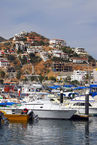 Cabo San Lucas Marina