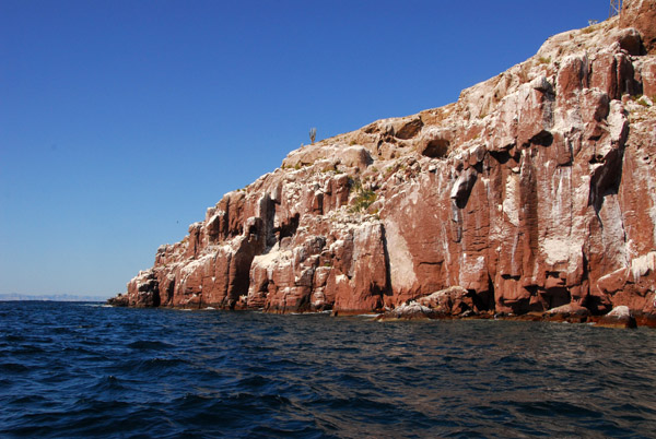 The larger western island of Los Islotes