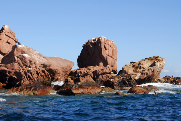 Guano-stained rocks of Los Islotes - Espíritu Santo