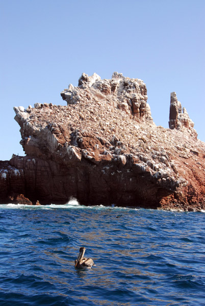 Los Islotes, a popular roosting spot for seabirds