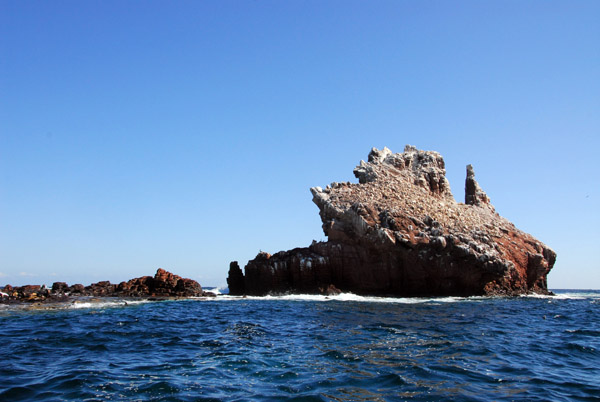 Los Islotes - Archipelago of Espíritu Santo, Gulf of California