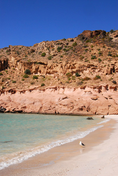 Deserted beach at Ensenada Grande - Isla La Partida
