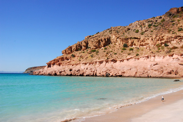 Isla La Partida is separated from the larger Isla Espíritu Santo by a shallow channel only 140 wide