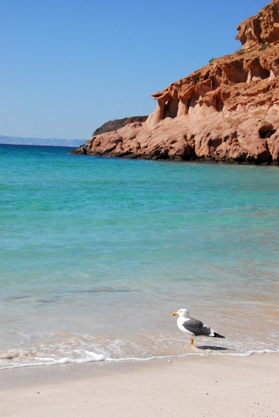 Ensenada Grande - Isla La Partida