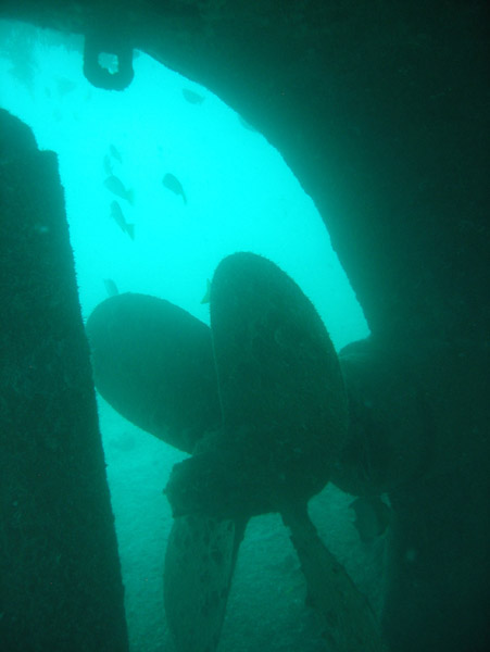 Propeller and rudder of the Fang Ming