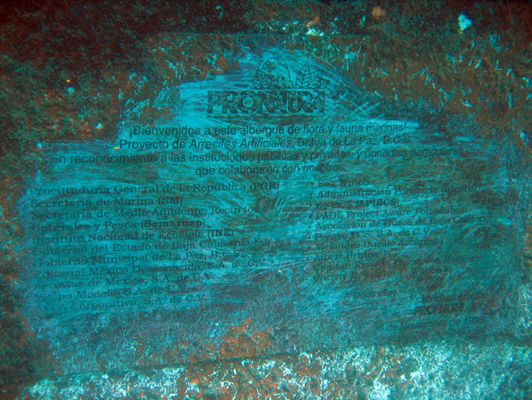 The conservation organization Pronatura sank the Fang Ming here in 1999 to serve as an artificial reef