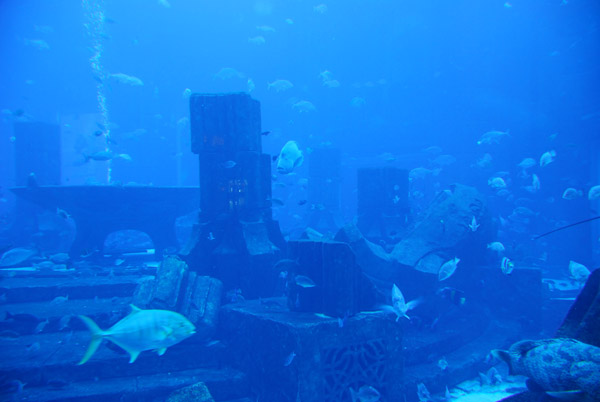 Aquarium - Atlantis, the Palm
