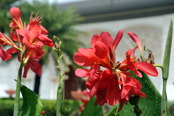 Putrajaya Botanical Garden