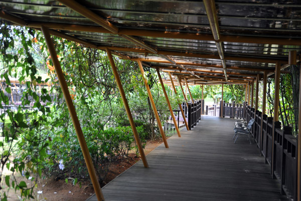 Taman Botani - Putrajaya Botanical Garden