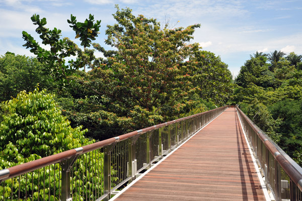 Titian Kanopi - Canopy Bridge, Putrajaya Botanical Gardens