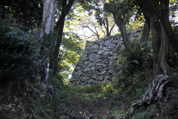 Stone Wall, Hikone Castle