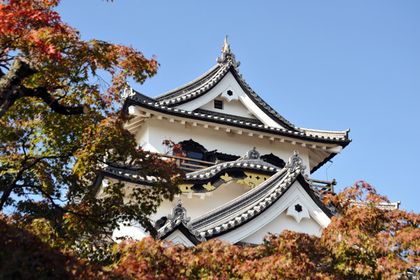 Autumn Colors, Hikone Castle