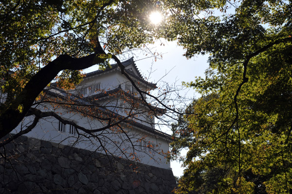 Park-like grounds of Hikone Castle