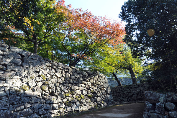 Early autumn, Hikone Castle