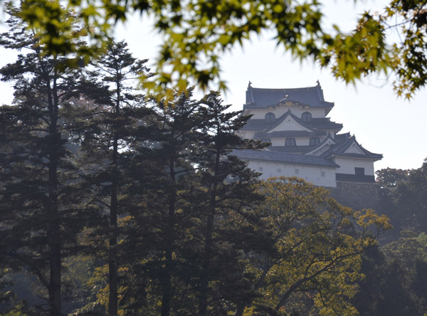 Hikone Castle from Gyenkyu-en Garden