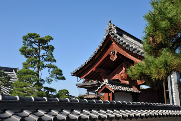 Temple roof with a blue sky, Hikone