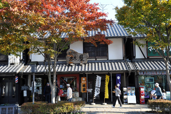 Autumn colors, Hikone 