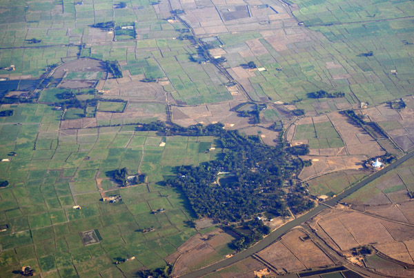 Farmland outside Yangon, Myanmar (Burma)