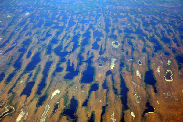 Astrakhan Nature Reserve, Russia