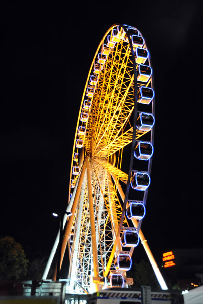 Ferris Wheel - River Fire 2010