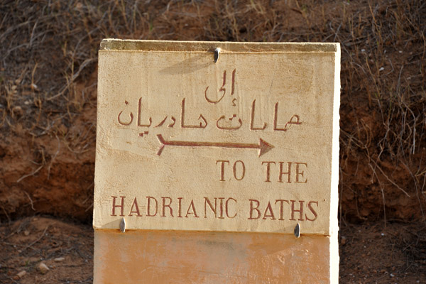 LibyaDec10 0374.jpg