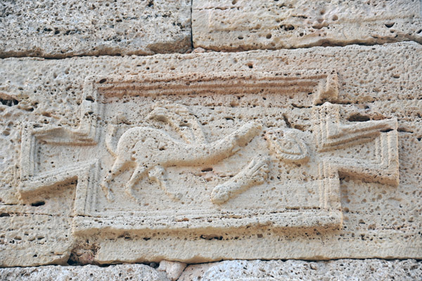LibyaDec10 0414.jpg