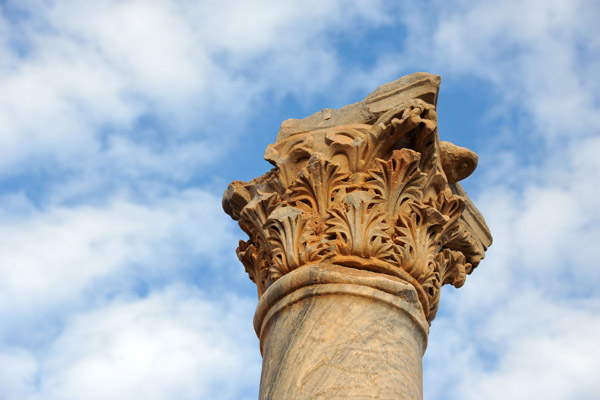 LibyaDec10 0422.jpg