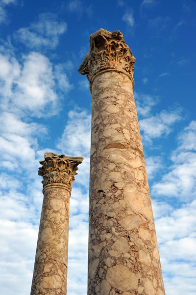 LibyaDec10 0423.jpg