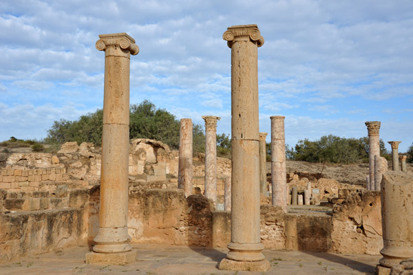 LibyaDec10 0425.jpg
