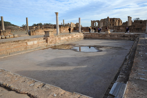 LibyaDec10 0426.jpg