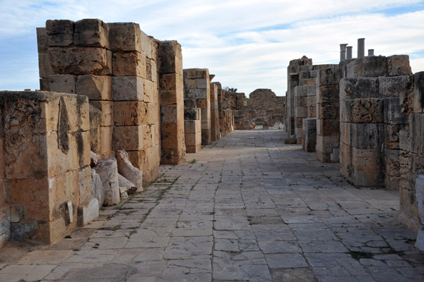 LibyaDec10 0430.jpg