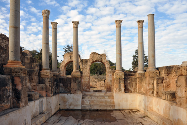 LibyaDec10 0432.jpg