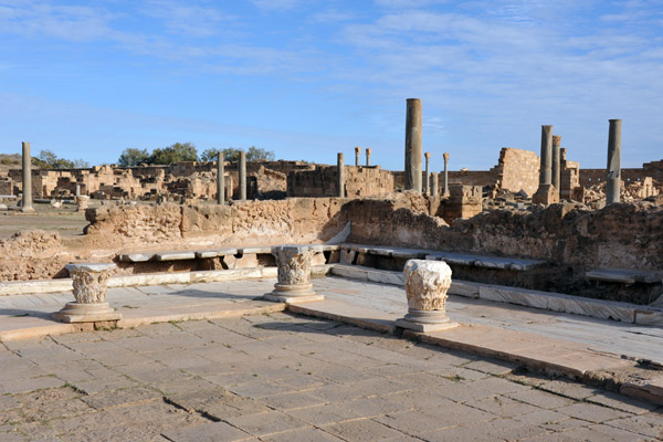 LibyaDec10 0467.jpg