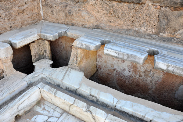 LibyaDec10 0468.jpg
