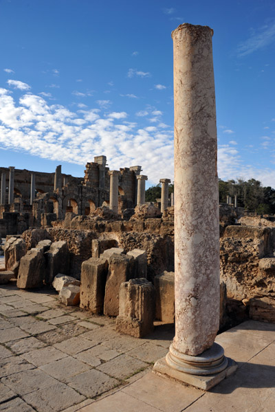 LibyaDec10 0471.jpg