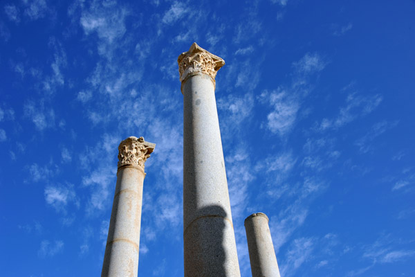 LibyaDec10 0492.jpg