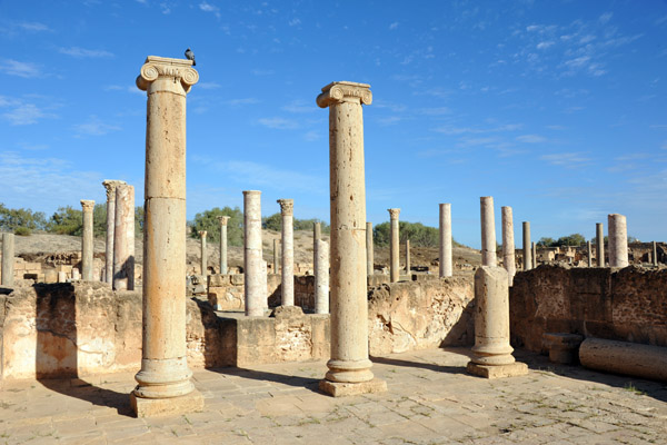 LibyaDec10 0494.jpg