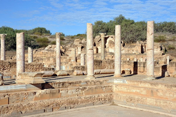 LibyaDec10 0497.jpg